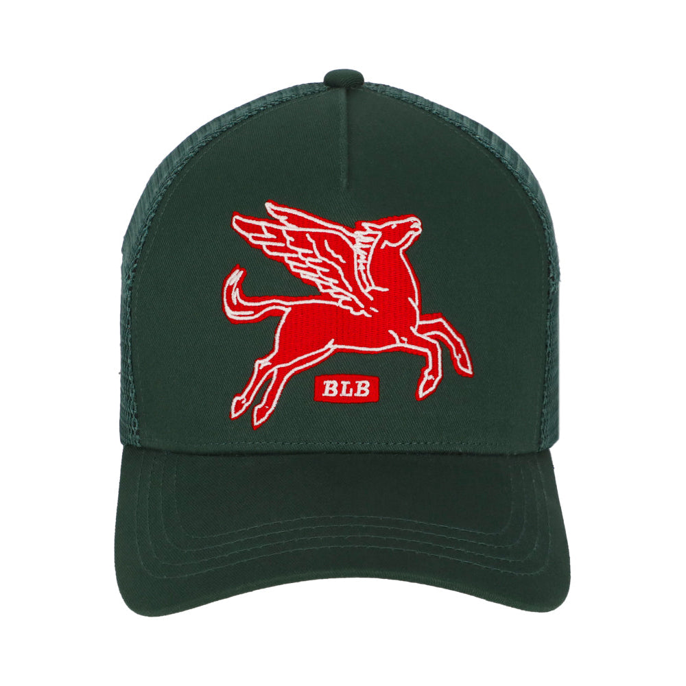 🎁 Gorra Pegasus (100% off)