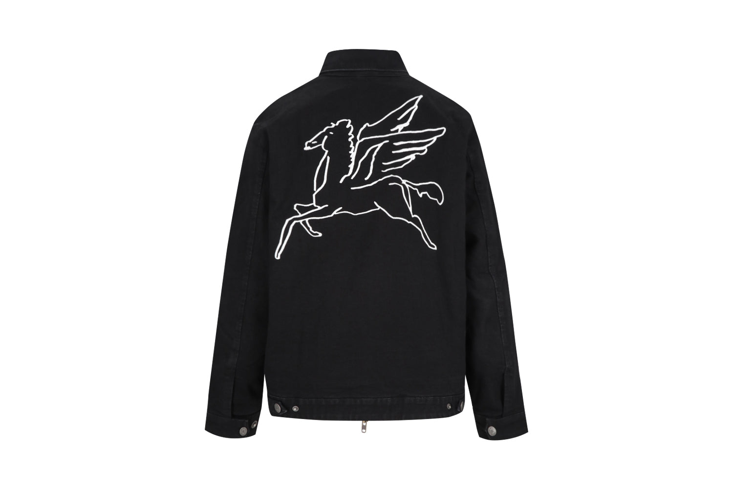 Chamarra Pegasus